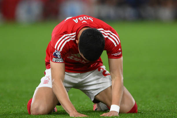 球的发展 球的发展